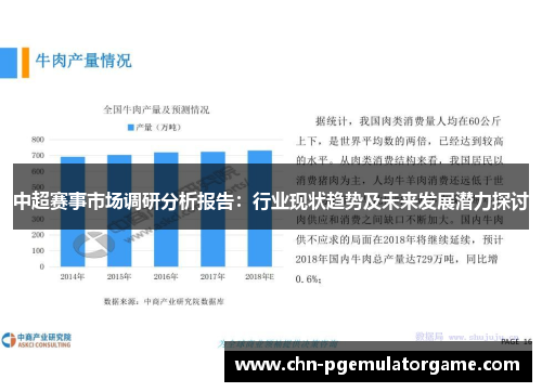 中超赛事市场调研分析报告：行业现状趋势及未来发展潜力探讨