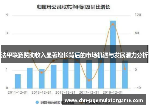 法甲联赛赞助收入显著增长背后的市场机遇与发展潜力分析