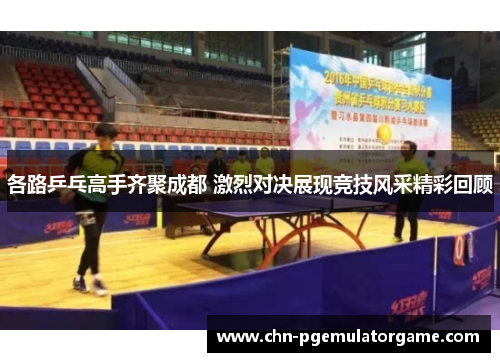 各路乒乓高手齐聚成都 激烈对决展现竞技风采精彩回顾