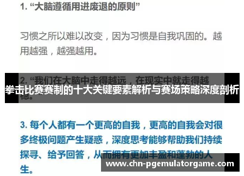 拳击比赛赛制的十大关键要素解析与赛场策略深度剖析