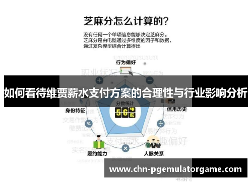 如何看待维贾薪水支付方案的合理性与行业影响分析