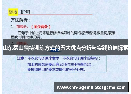 山东泰山独特训练方式的五大优点分析与实践价值探索