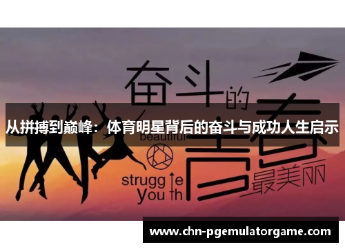 从拼搏到巅峰：体育明星背后的奋斗与成功人生启示