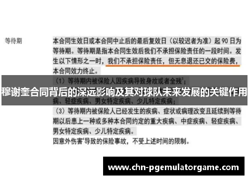 穆谢奎合同背后的深远影响及其对球队未来发展的关键作用