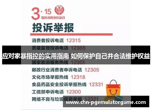 应对家暴指控的实用指南 如何保护自己并合法维护权益