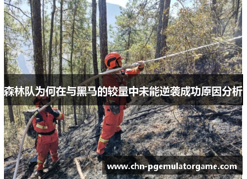 森林队为何在与黑马的较量中未能逆袭成功原因分析