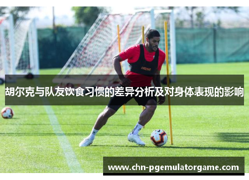 胡尔克与队友饮食习惯的差异分析及对身体表现的影响
