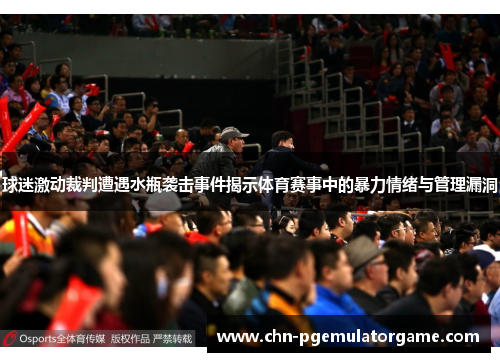 球迷激动裁判遭遇水瓶袭击事件揭示体育赛事中的暴力情绪与管理漏洞