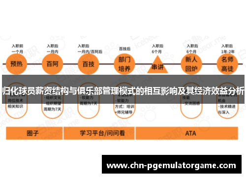 归化球员薪资结构与俱乐部管理模式的相互影响及其经济效益分析