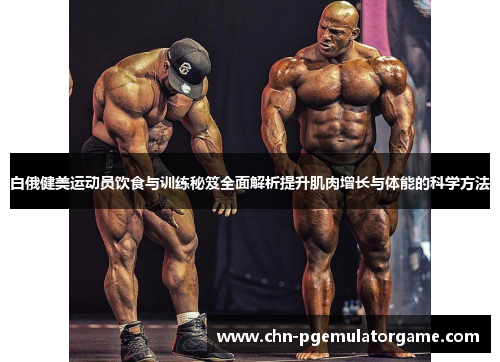 白俄健美运动员饮食与训练秘笈全面解析提升肌肉增长与体能的科学方法
