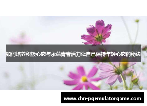 如何培养积极心态与永葆青春活力让自己保持年轻心态的秘诀