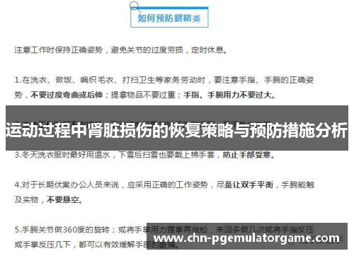 运动过程中肾脏损伤的恢复策略与预防措施分析