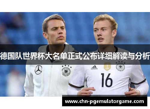 德国队世界杯大名单正式公布详细解读与分析