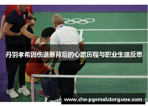 丹羽孝希因伤退赛背后的心路历程与职业生涯反思