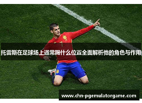 托雷斯在足球场上通常踢什么位置全面解析他的角色与作用