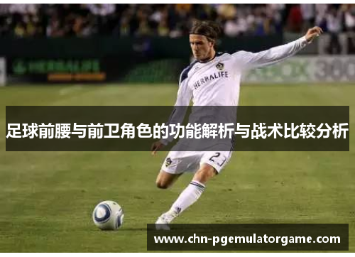 足球前腰与前卫角色的功能解析与战术比较分析