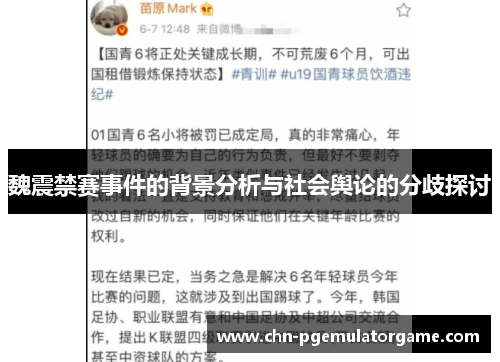 魏震禁赛事件的背景分析与社会舆论的分歧探讨