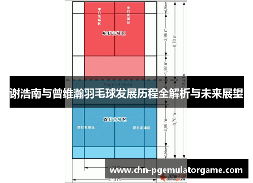 谢浩南与曾维瀚羽毛球发展历程全解析与未来展望