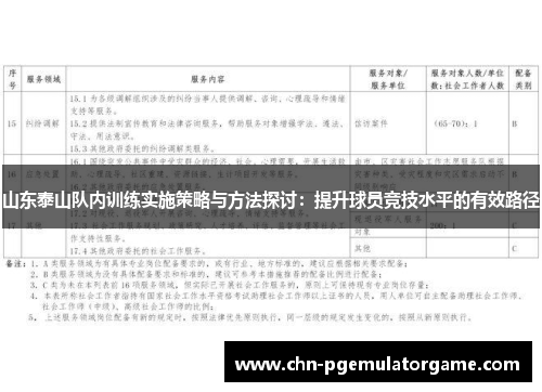 山东泰山队内训练实施策略与方法探讨：提升球员竞技水平的有效路径