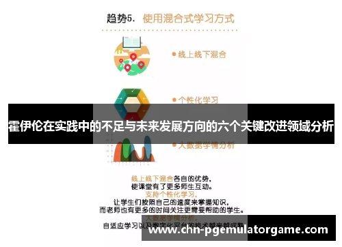 霍伊伦在实践中的不足与未来发展方向的六个关键改进领域分析